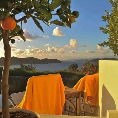 乐鱼app(中国体育)官方网站