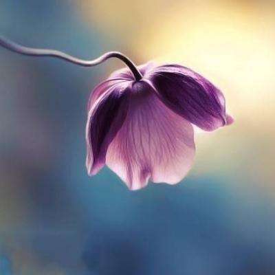 南宫体育app下载手机app下载截图