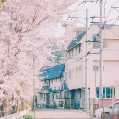 BET9官方APP下载正版手机app下载