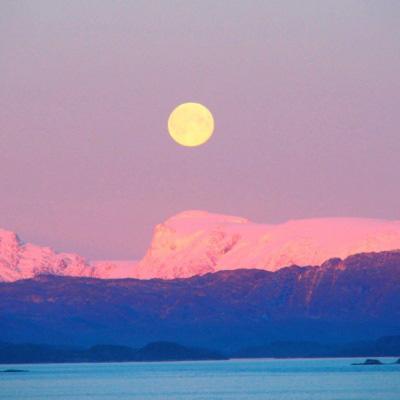 火狐官方网站下载手机版