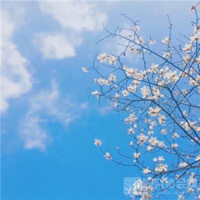 彩神下载手机版