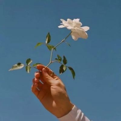 南宫28ng娱乐app下载截图