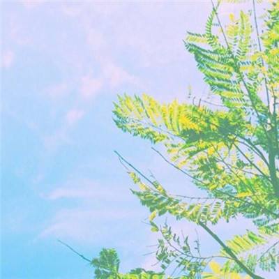 爱体育官方手机app下载