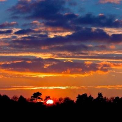 皇冠新体育APP官方入口截图